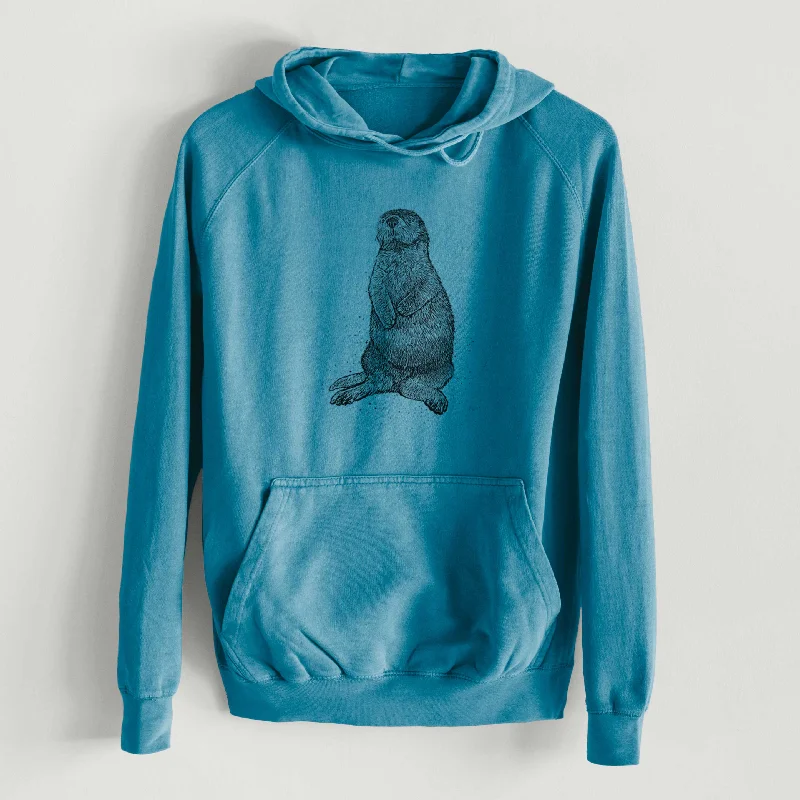 Instant Discount Enhydra lutris - California Sea Otter  - Mid-Weight Unisex Vintage 100% Cotton Hoodie